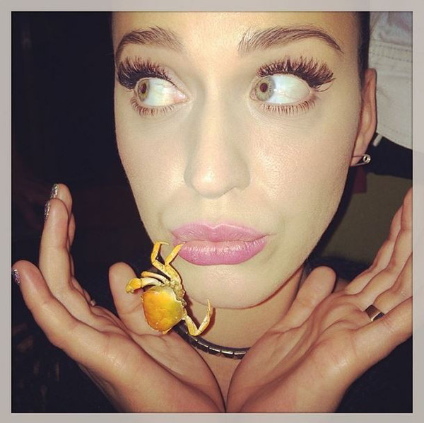 Katy Perry Katy Perry